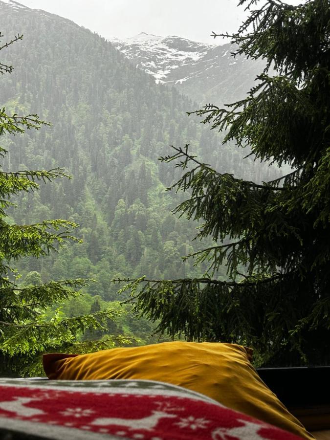Ayder Dag Evi Villa Exteriör bild