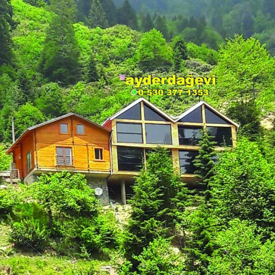 Ayder Dag Evi Villa Exteriör bild